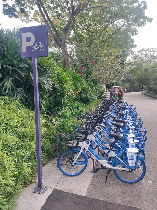 Foto de aluguel de bicicleta 1h: Compare o preço de aluguel de bicicleta 1h em diferentes países e veja quanto esse custo pesa no salário médio local