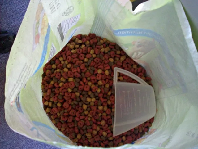 Foto de ração para cachorro 1kg: Compare o preço de ração para cachorro 1kg em diferentes países e veja quanto esse custo pesa no salário médio local